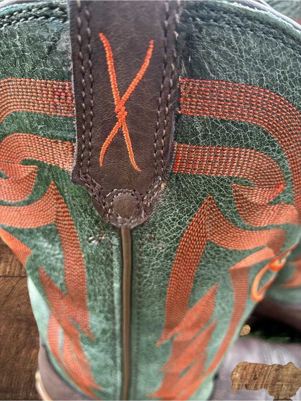 Hooey Twisted X boots